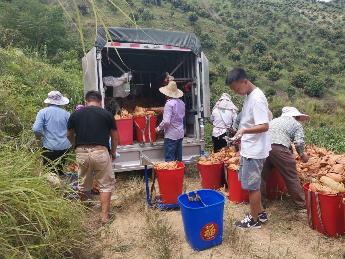 电子商务最新动态揭秘，行业变革的关键趋势引领者