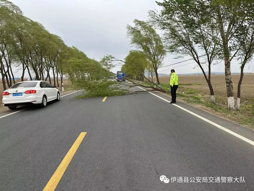 伊旗实时路况信息与交通动态更新