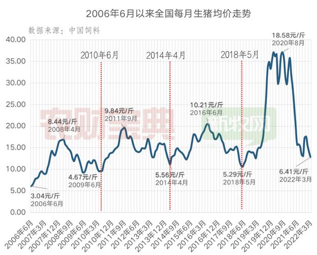 十月猪价行情深度解析与概览